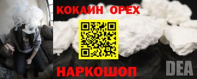 ГАЛЛЮЦИНОГЕННЫЕ ГРИБЫ Кингисепп