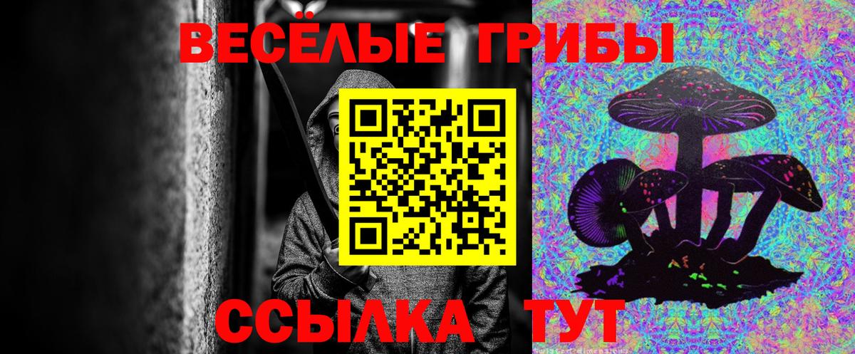 Псилоцибиновые грибы ЛСД Коркино